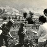 Picture of IFDC working with farmers in Colombia in the 70s