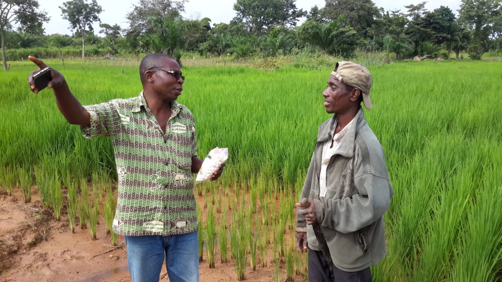 Improving Farmer Access to Quality Fertilizer for Increased Yields - IFDC