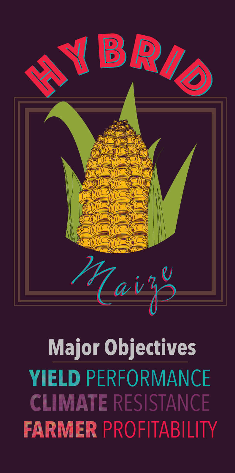 hybrid_maize_graphic