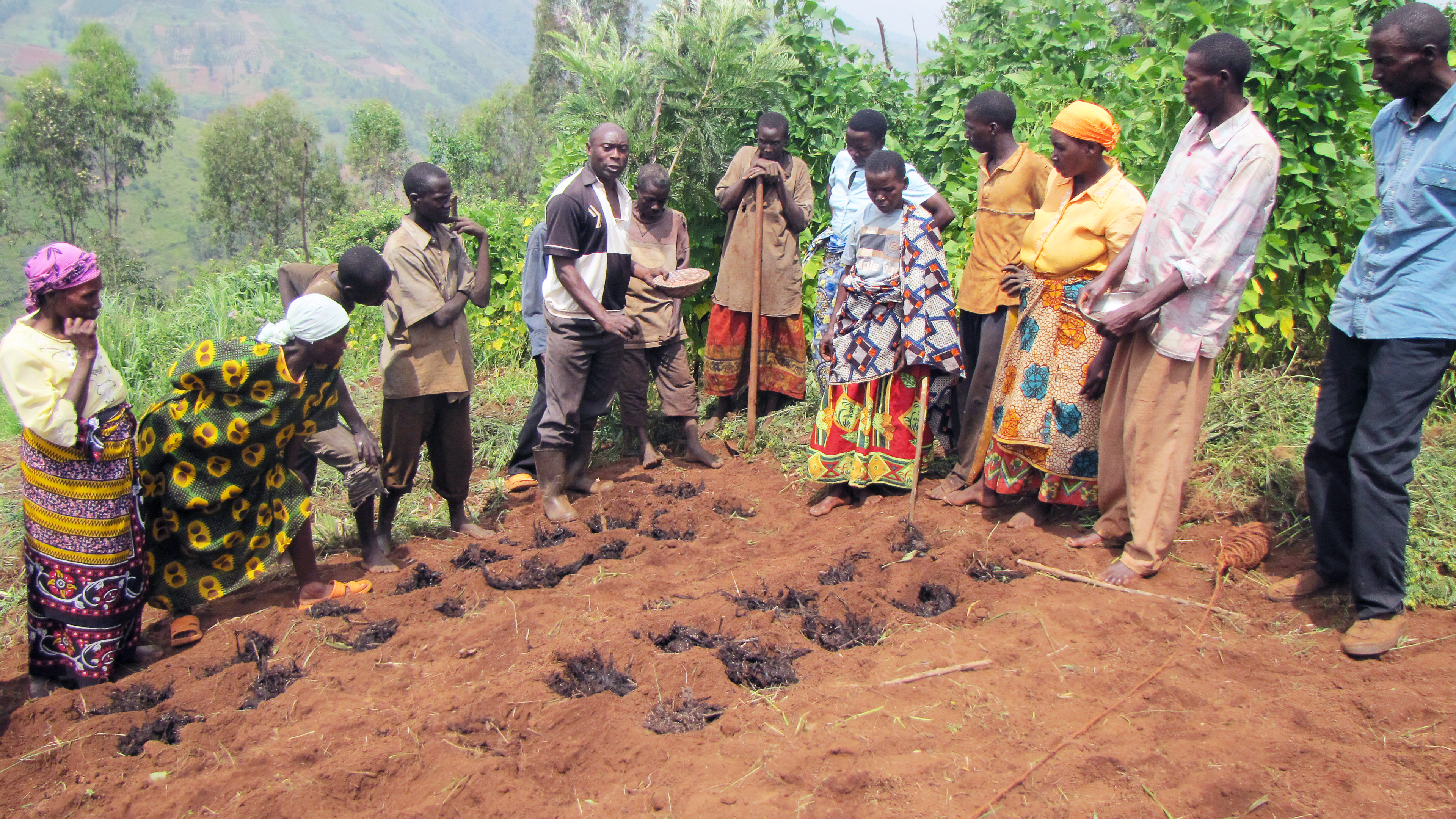 farmers-in-burundi-learn-isfm-techniques