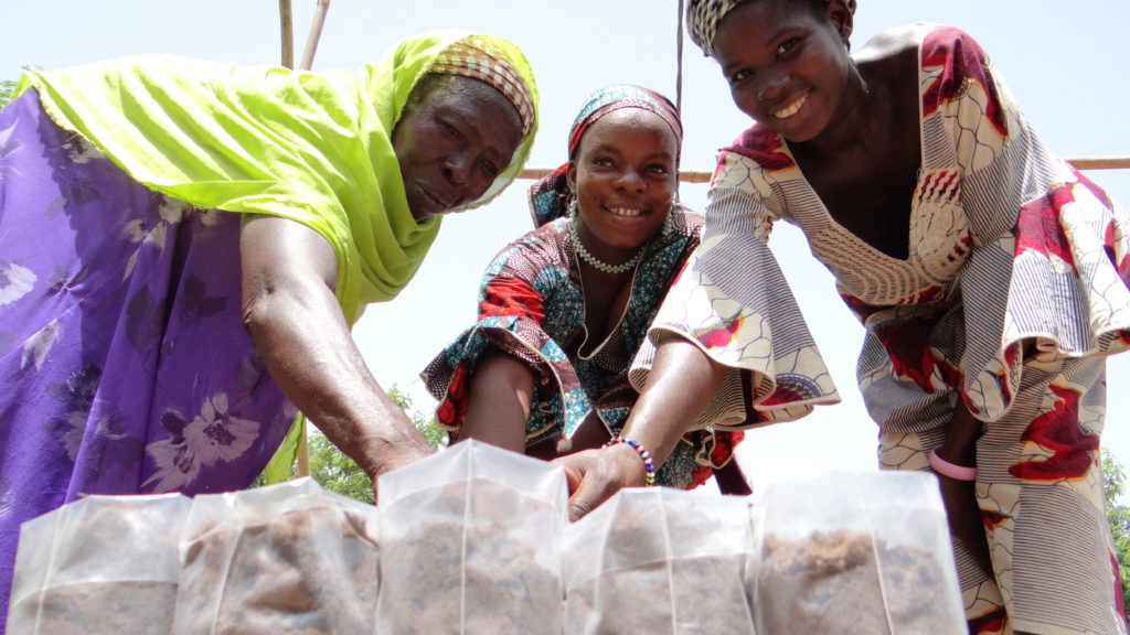 mali women in training