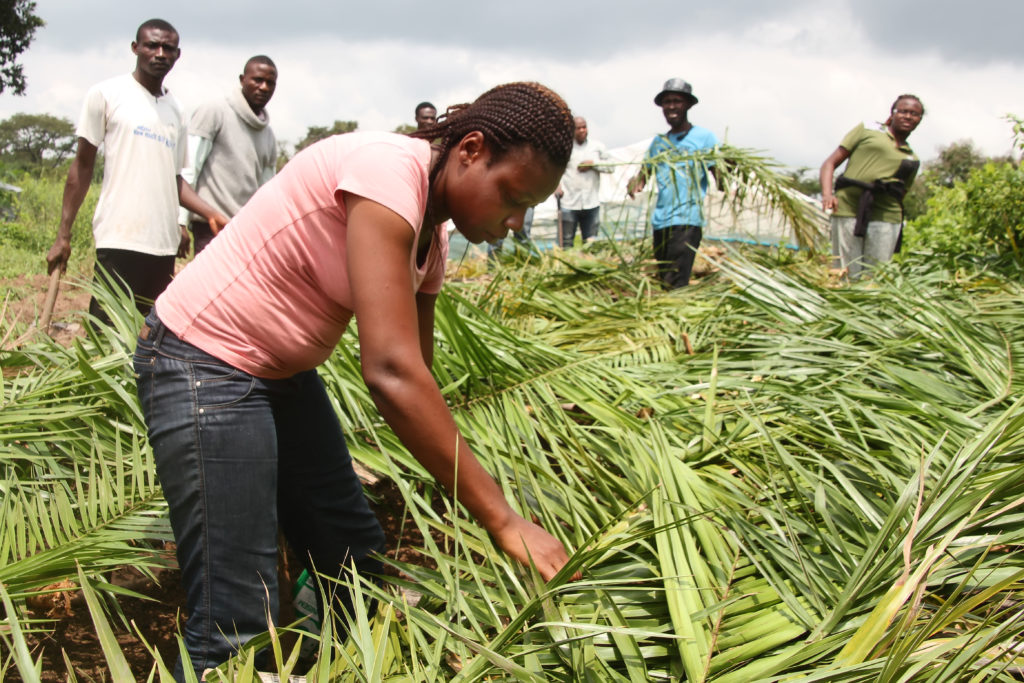 youth in a field at a learning center in Nigeria