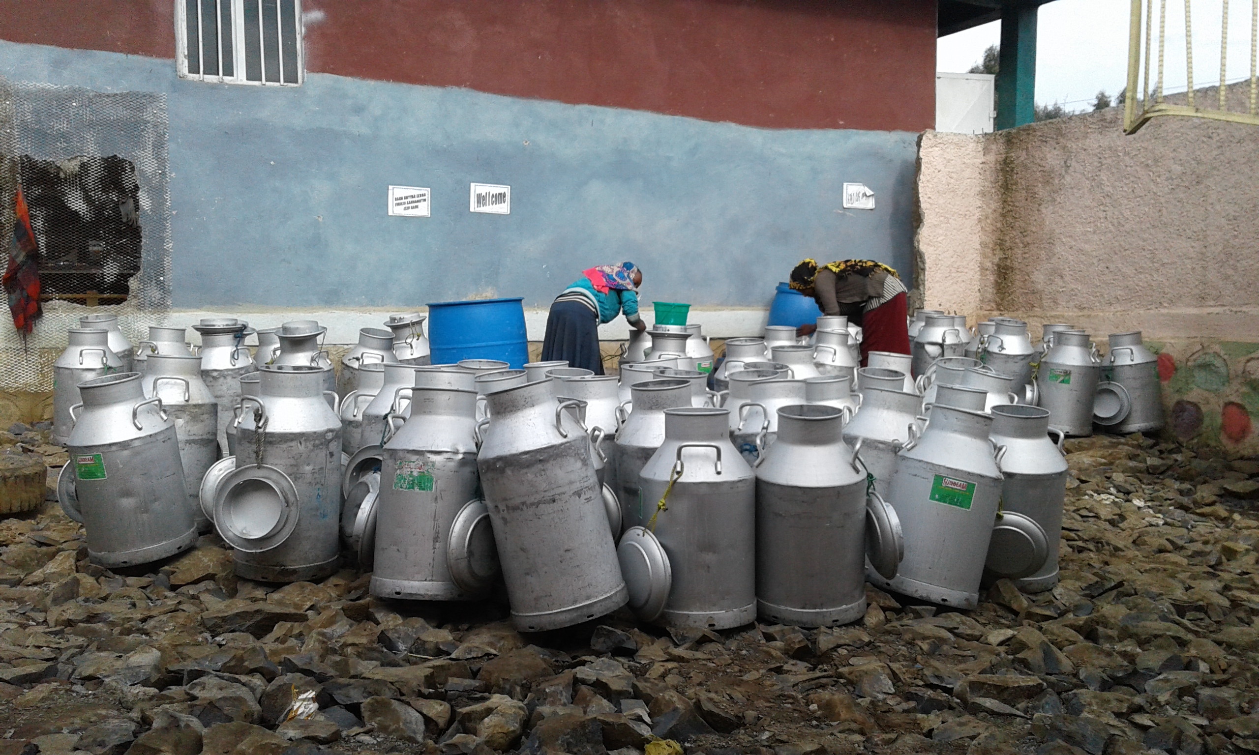 Ethiopia dairy forage training 20170517_090613