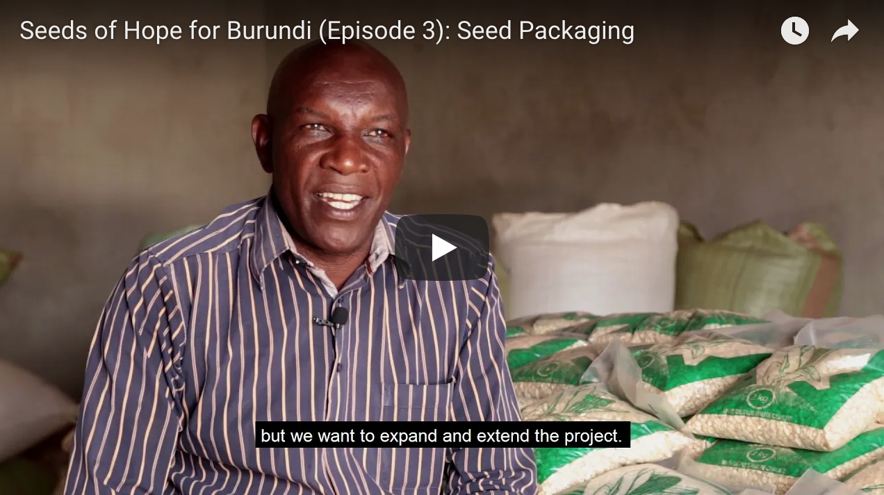 Seeds of Hope Episode 3: Seed Packaging - IFDC