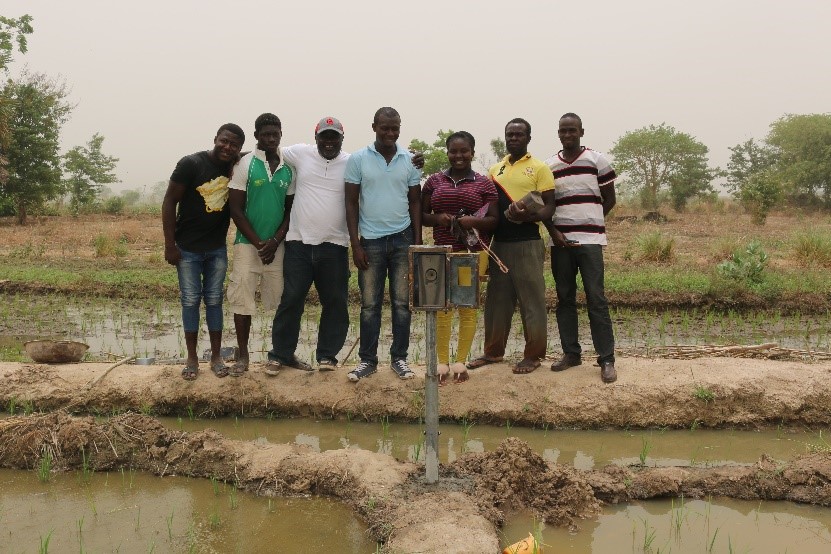 The research team installed time-lapse cameras to collect data on the physiological development of the rice crop.