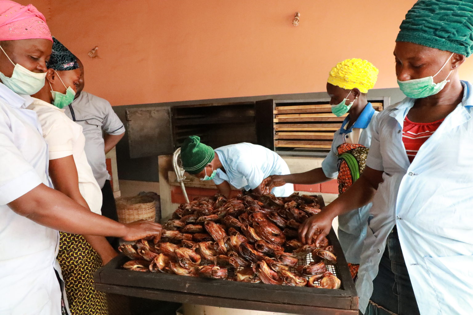 Communal Approach to the Agricultural Market in Benin – Phase 2 (ACMA2 ...