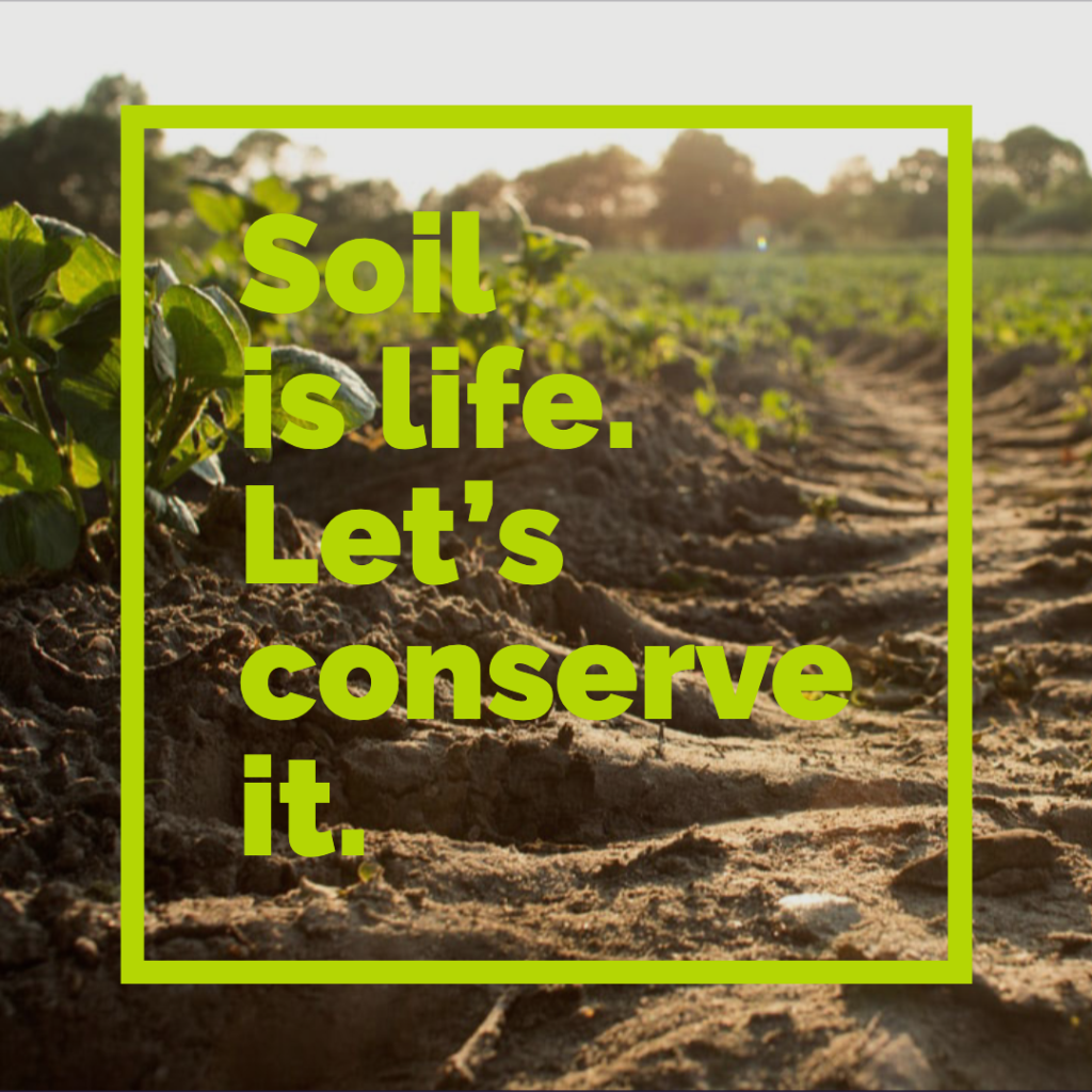 Importance Of Soil In Human Life