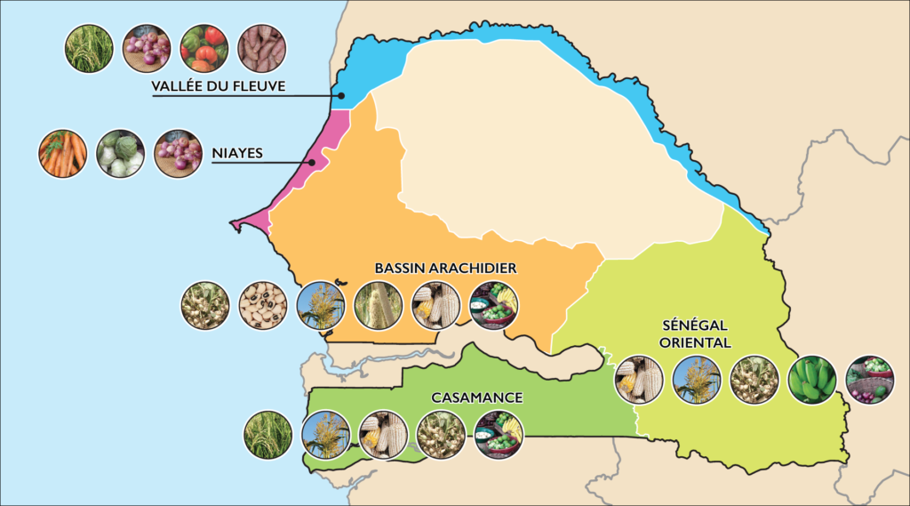 DS AEZ. MAP OF SENEGAL