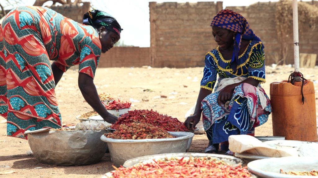 Women Sort Chili Peppers in Kenya