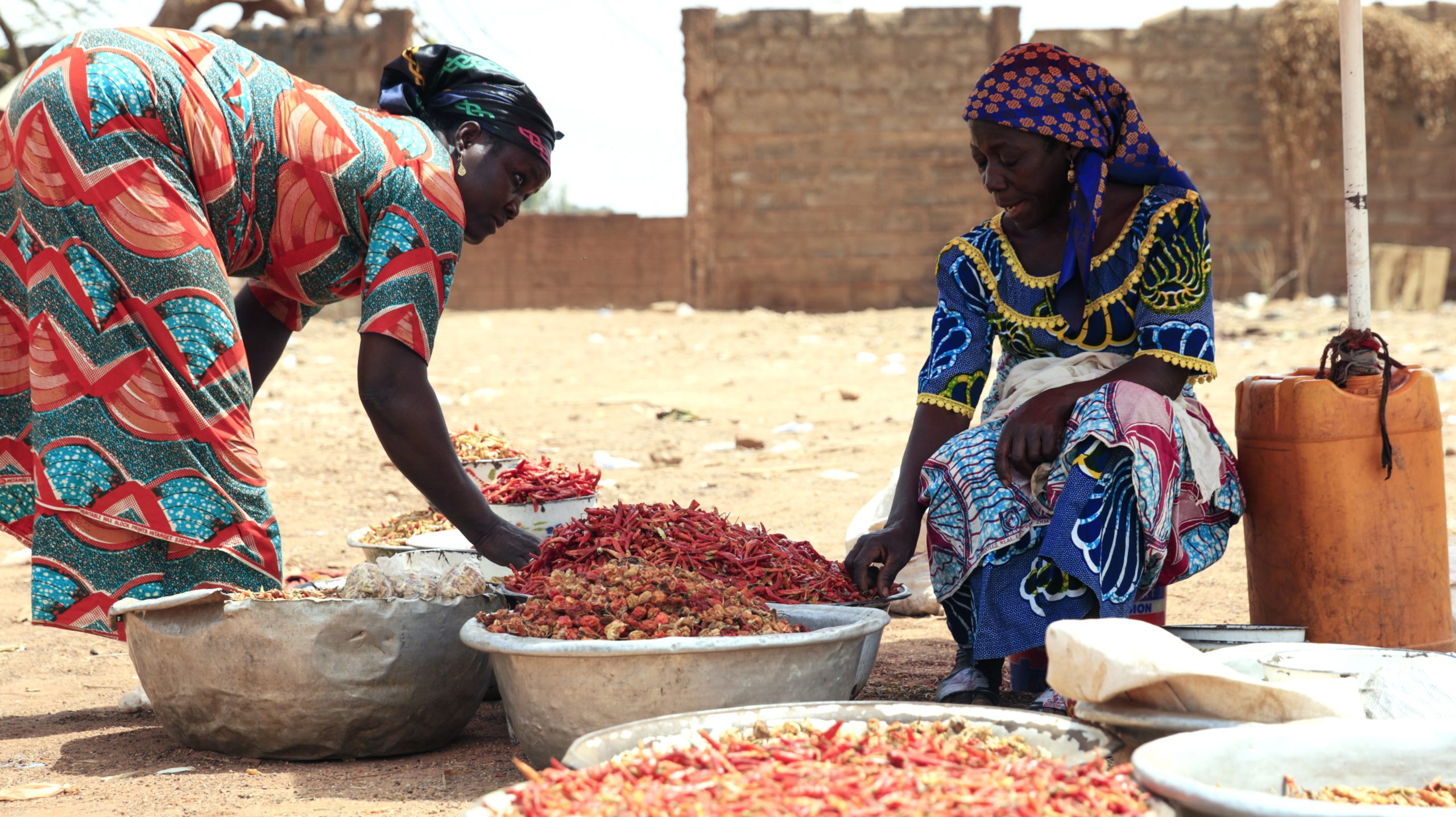 2SCALE_Nairobi-Kenya_Women-Sorting-Chili-Peppers