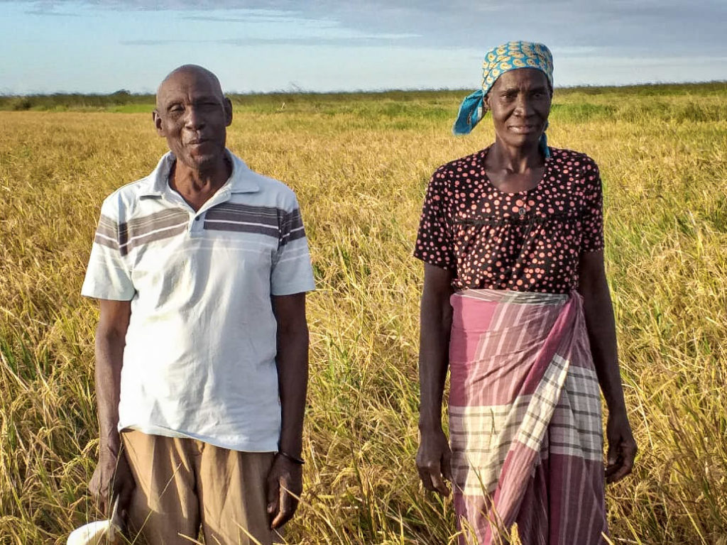 Two farmers stand in the field