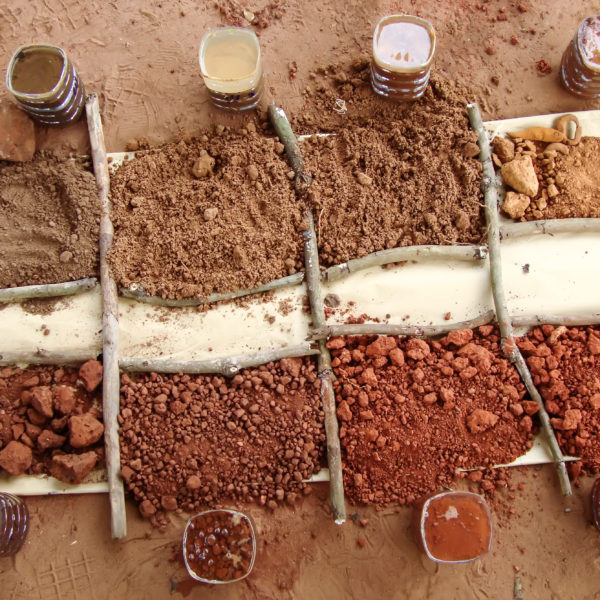 Different types of soil are displayed.