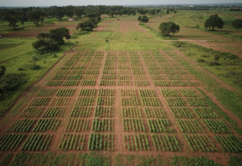 photo of a field in ghana taken by a drone