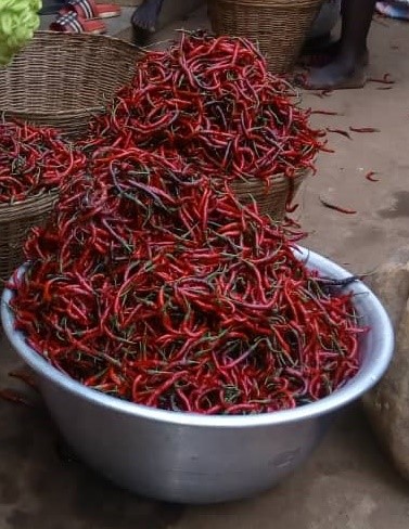 A bowl of chili peppers