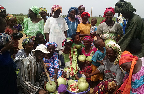 Photo of African Farmers with Melons