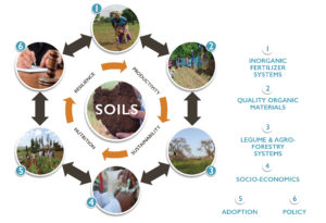 Graphics depicting SOILS consortium