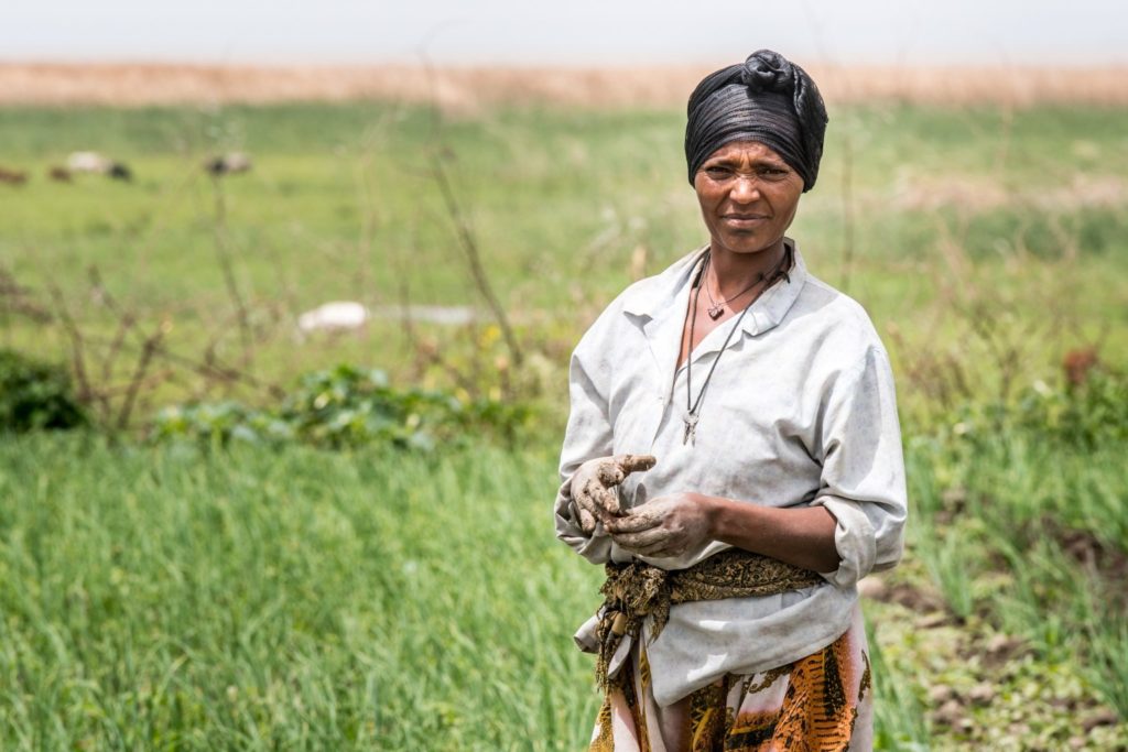 Meki Batu Ethiopia - Fruit and Vegetable Growers Cooperative