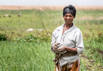 Meki Batu Ethiopia - Fruit and Vegetable Growers Cooperative
