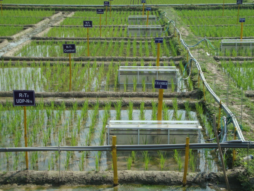 Greenhouse gas measurement devices in a rice test field