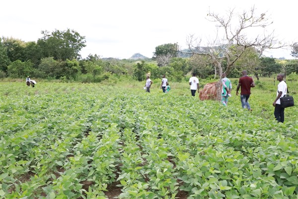 A group of people walk through a demonstration farm