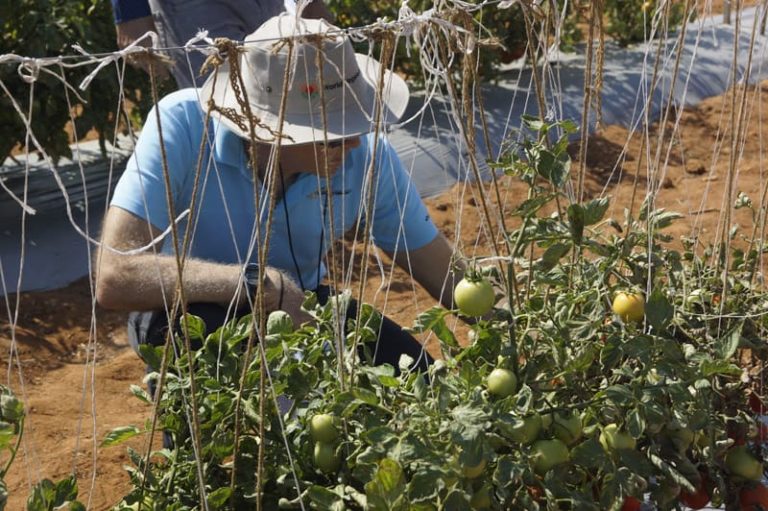 Accelerating Farm Incomes Building Sustainable Soil Health Markets Accelerating Farm Incomes Building Sustainable Soil Health Markets