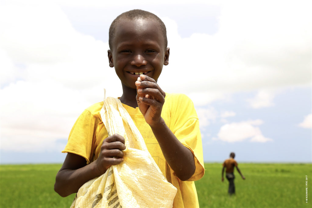 Boy with briquettes