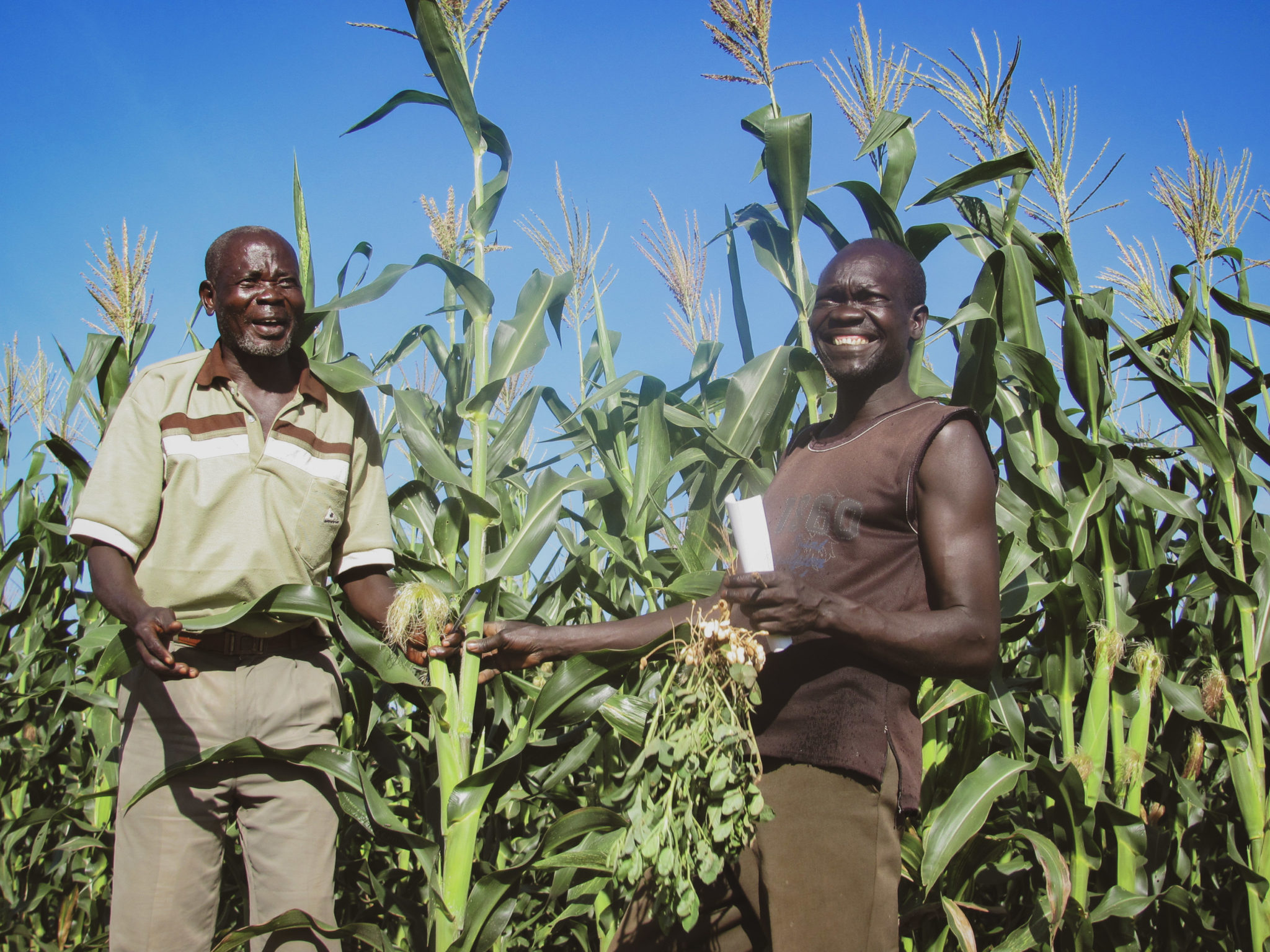 Accelerating Agriculture And Agribusiness In South Sudan For Enhanced Economic Development A3