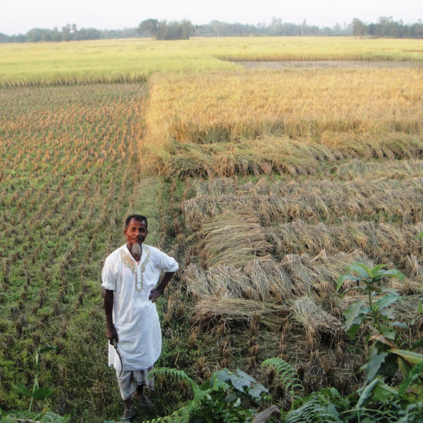 Man standing in field