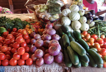 a market scene of various vegetables