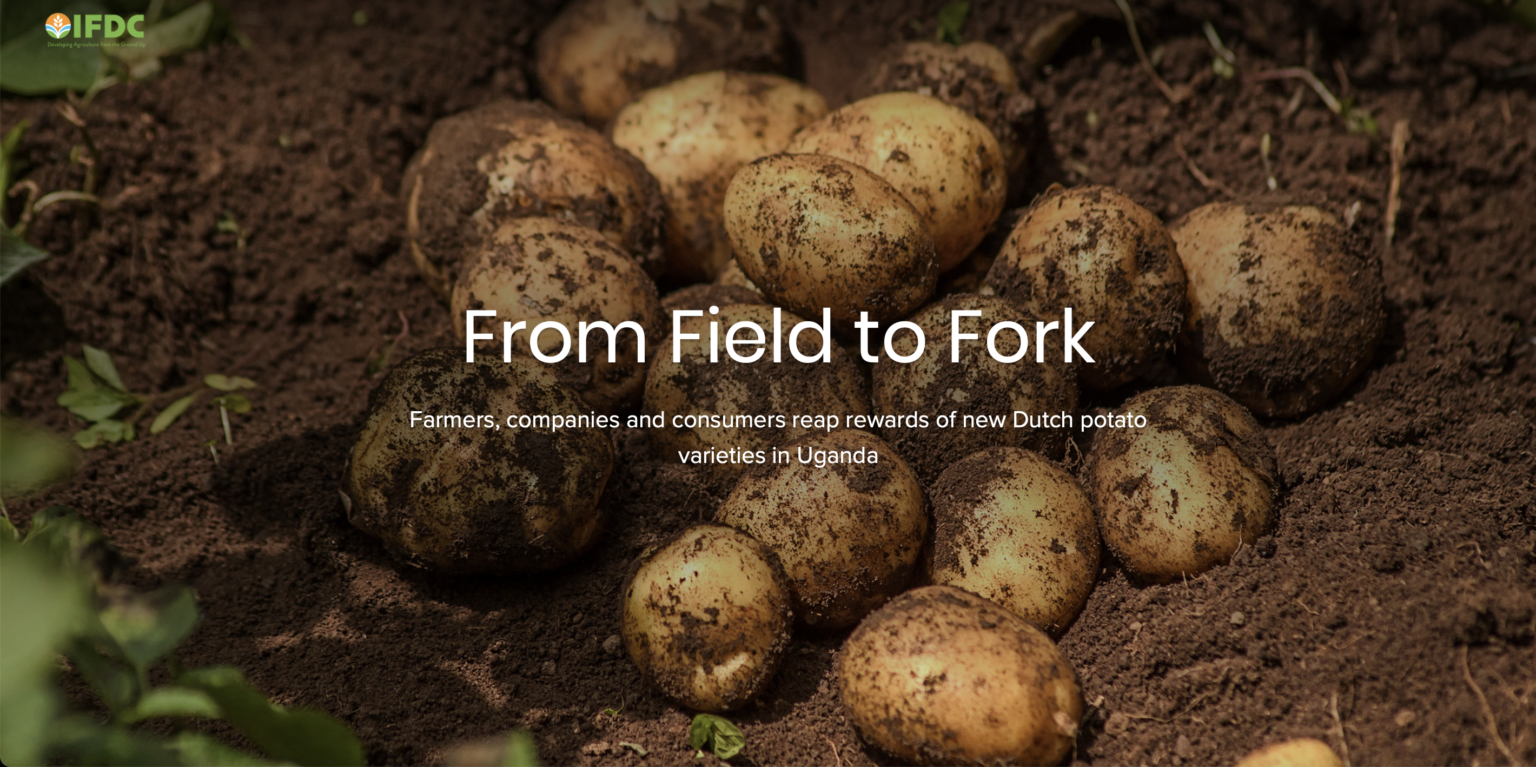 From Field to Fork IFDC