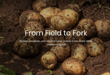 From Field to Fork Cover