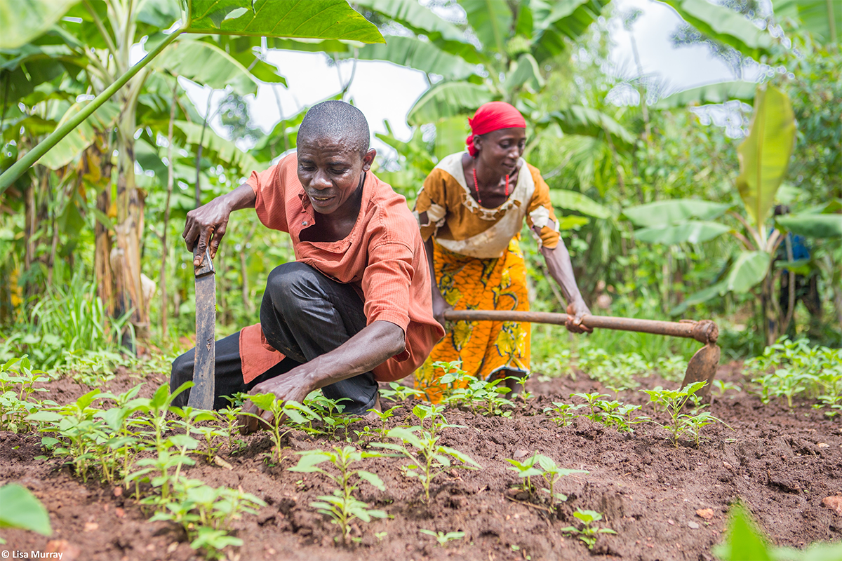 A husband and wife farm in Burundi