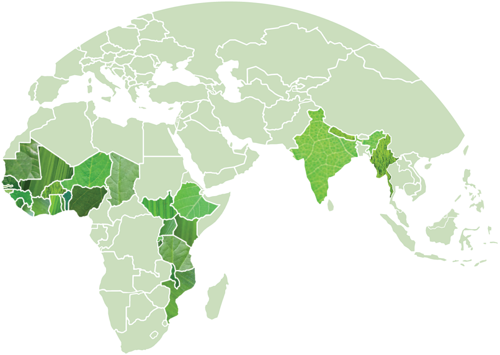 A map displaying IFDC's active countries in 2020