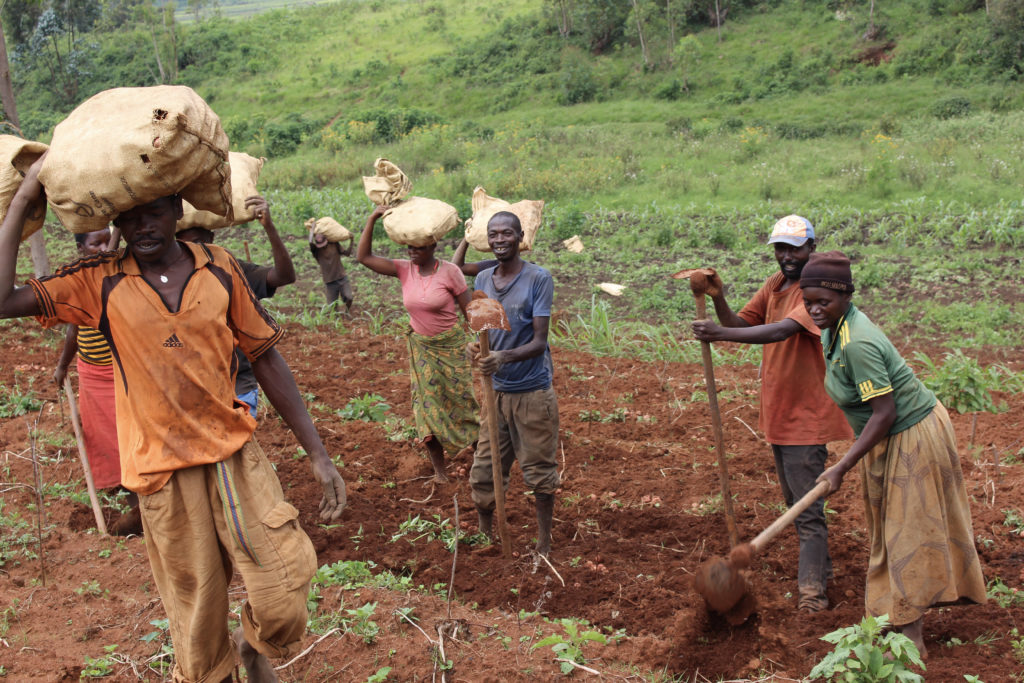 Joselyne with her family in her field harvesting potatoes