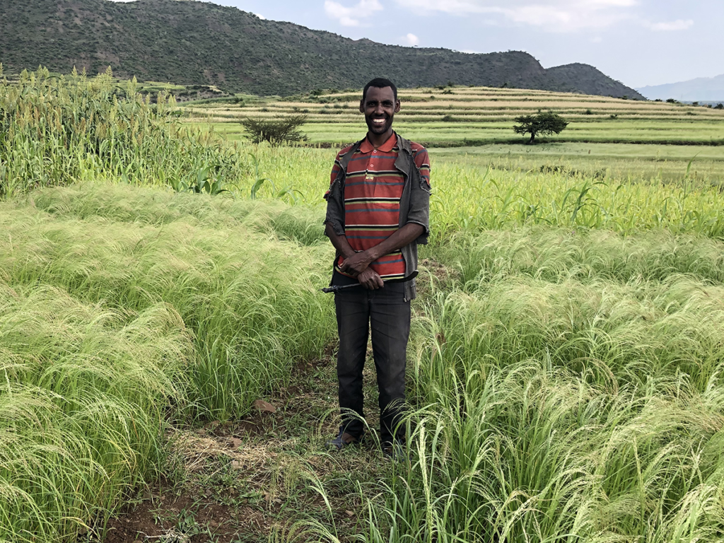 a farmer stands in his teff field