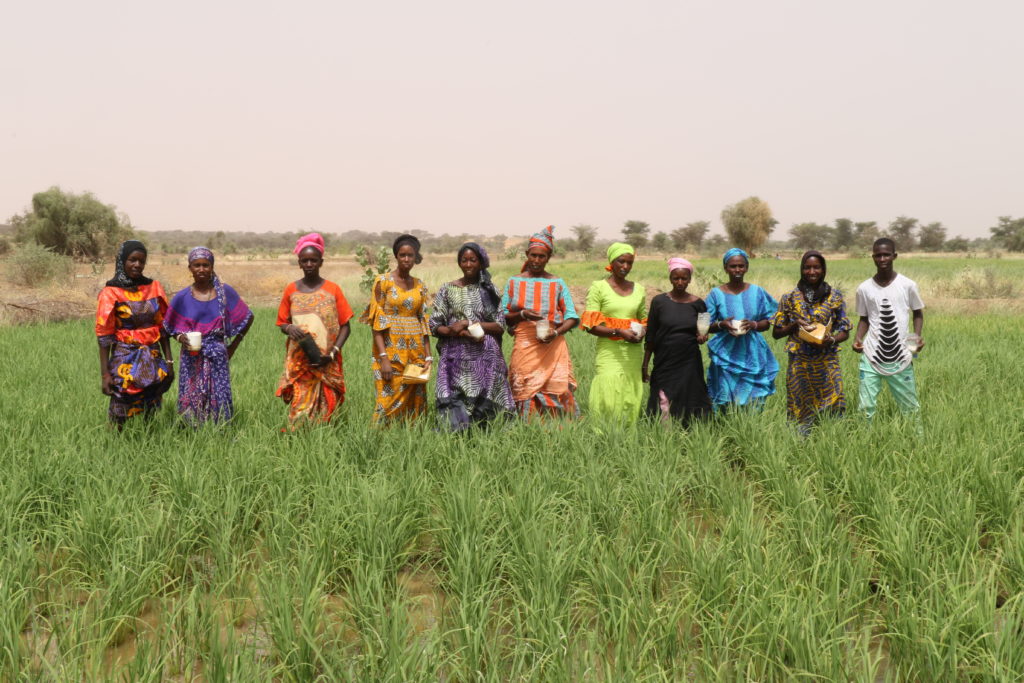 Woman holding UDP in Senegal