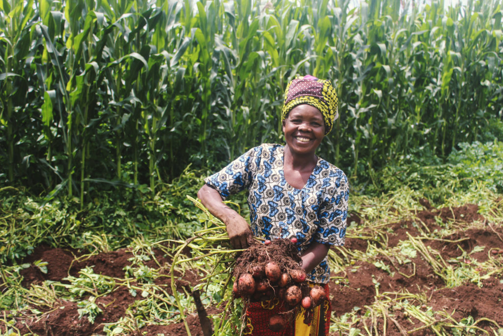 a woman displays her potato harvest