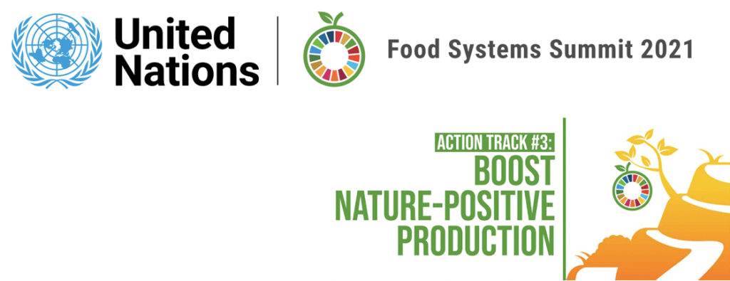 UNFSS Action Track 3 Boos nature-positive production