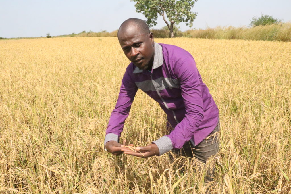 ABDOULAYE DIALLO in field