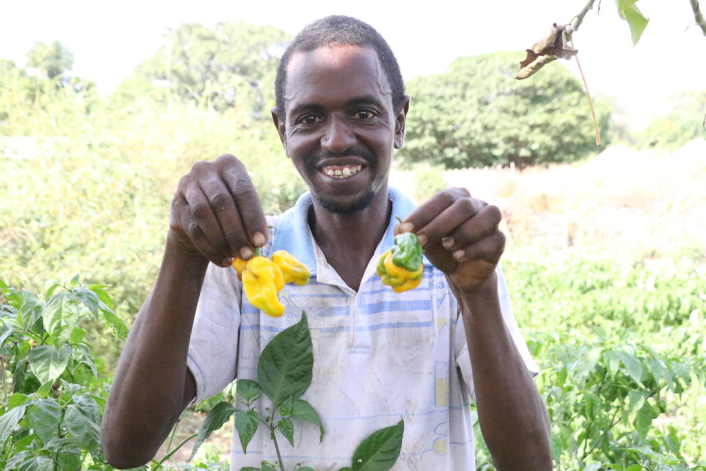 Omar Diamanka Holding chilis