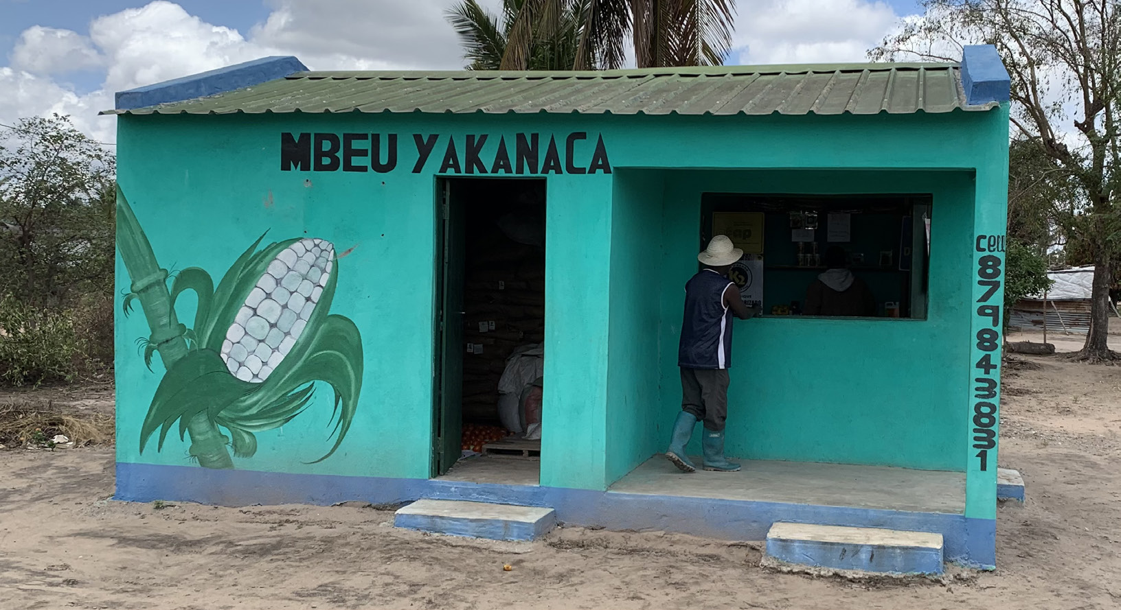 Buzi Seedling Producer Helps Farmers Increase Yields in Mozambique IFDC