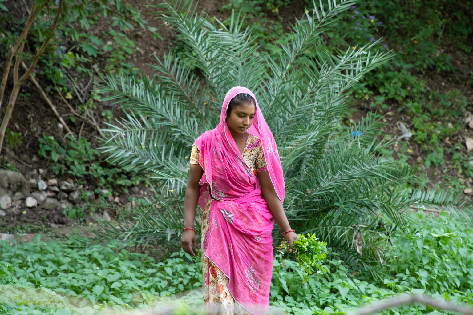 female-champions-for-sustainable-soil-health-markets-and-productivity