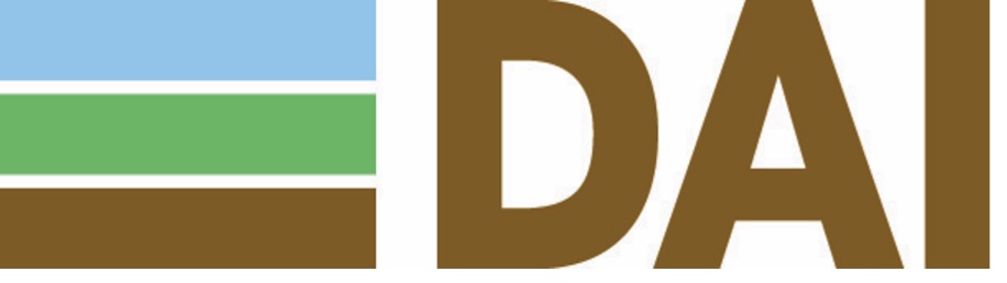 DAI LLC logo