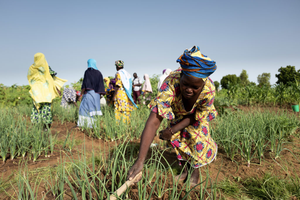 A woman in Mali prepares the ground for planting while other work in the field behind her