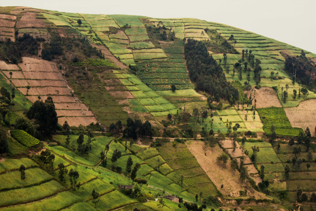 Sloped landscape is shown. The land is separated into a grid-like pattern using contour lines that protect the soil from erosion.