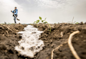 Ethiopian man digs irrigation in a field for his soil and plants' health
