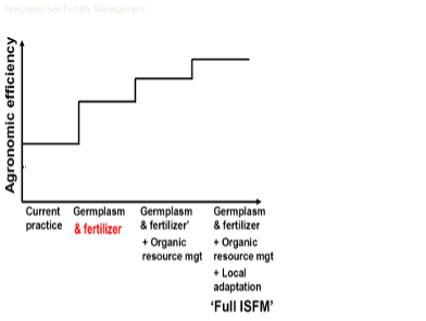 Progression of the ISFM framework chart