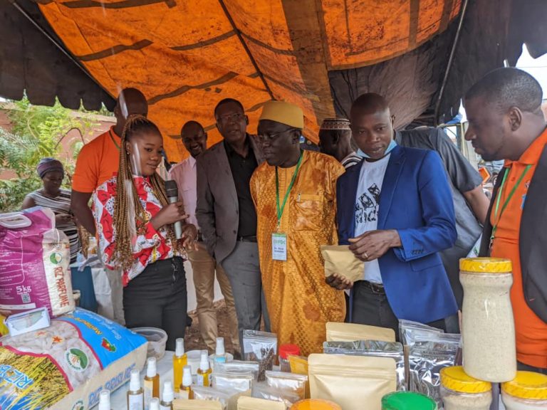 IFDC Burkina Faso Open Door Event: Celebrating 19 Years of Developing