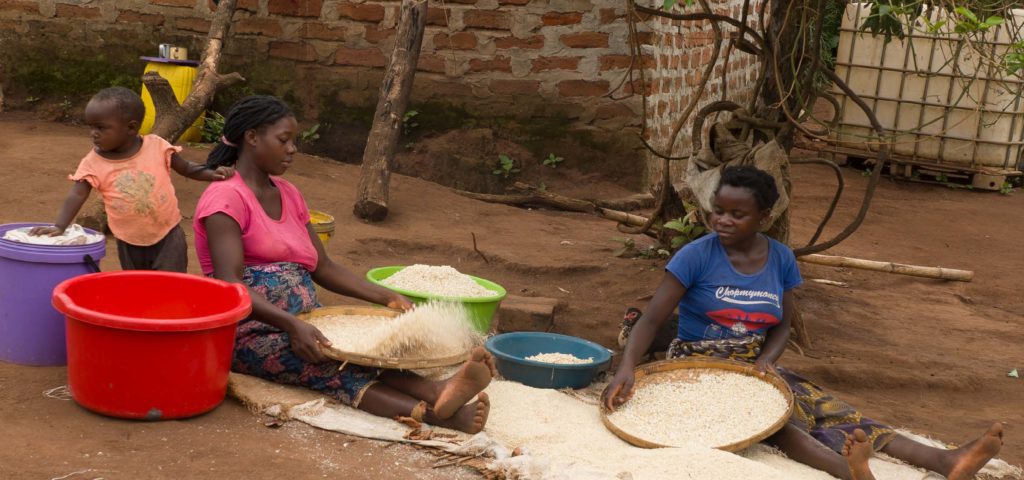 Women from the savings group prepare their crops for market.