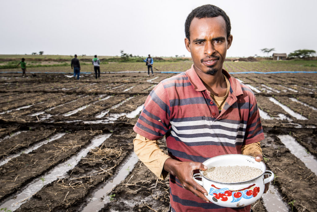 Ethiopian man holding a bowl of fertilizer in a field